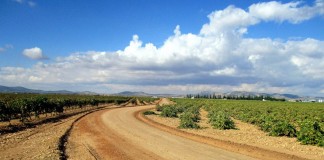 45 millones para 2.500 kilómetros de caminos rurales en la región