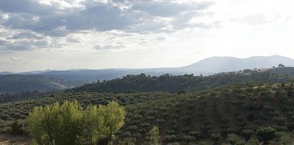 11 millones para programas agrícolas, ganaderos y de desarrollo rural