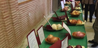 Bolaños de Calatrava, a la cabeza regional de exportaciones agroalimentarias