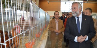 Inaugurado en Talavera el XXV Concurso Nacional de Avicultura Artística