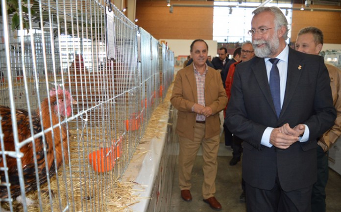 feria-avicultura-1