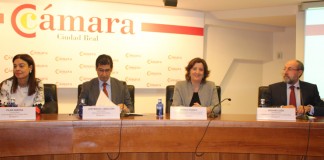 Quieren impulsar una estrategia para promocionar Castilla-La Mancha como destino enoturístico