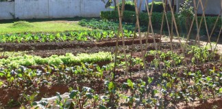 Impulso a agroecología como alternativa al modelo agrario en Castilla-La Mancha