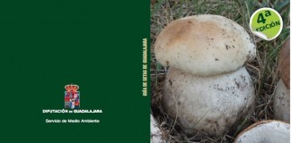 La Diputación ofrece descarga gratuita de Guía de setas de Guadalajara