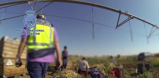 Policía Nacional desarticula banda explotación trabajadores búlgaros