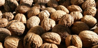 Castilla-La Mancha encabeza el cultivo de nuez en España