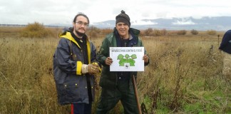WWF pide acción contra los incendios plantando cientos de árboles