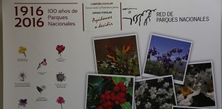 Una alumna de Daimiel gana un concurso fotográfico nacional