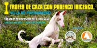 Caza con podencos ibicencos en Pozoamargo (Cuenca)