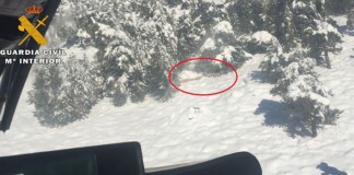 La Guardia Civil rescata 33 ovejas de la nieve en Nerpio
