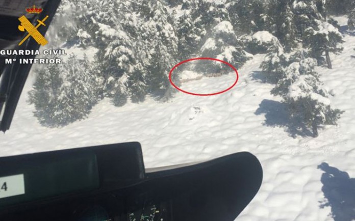 guardia-civil-rescata-ovejas-nieve