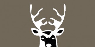 ASICCAZA convoca el II Proyecto de apoyo a Iniciativas de Emprendimiento