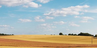 Los expedientes de la PAC con incidencias se resolverán en febrero