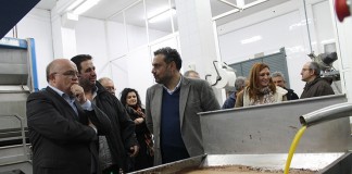 La campaña de la aceituna en Albacete alcanzarán las 50.000 toneladas