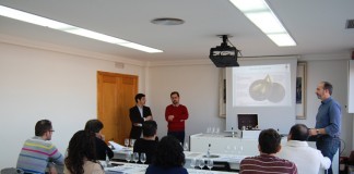 Curso de cata y protocolo del vino en Alcázar de San Juan