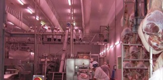 UGT incide en los falsos autónomos en las industrias cárnicas matadero