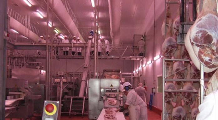 Sube un 2,89 % producción de carne de ovino en Castilla-La Mancha matadero
