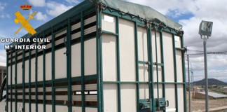 Detenido un hombre por el robo de 237 ovejas, en Albacete