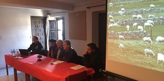 Informan a ganaderos sobre medidas y ayudas contra ataques de lobos