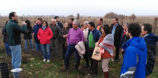 Regantes de Villarrubia ponen plantas autóctonas en las Tablas de Daimiel