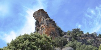 El Barranco del Dulce, Zona de Especial Conservación Red Natura 2000