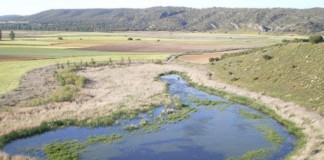 Ecologistas presenta dos nuevas denuncias por incumplimiento medioambiental en Los Capellanes