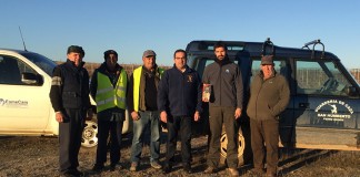 El lince ayudará a minimizar daños a cultivos de Pedro Muñoz