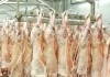 2026: Año de caída de producción y consumo para el sector ovino y caprino de carne matadero corderos