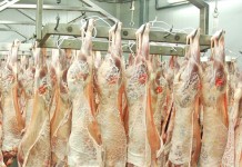 2026: Año de caída de producción y consumo para el sector ovino y caprino de carne matadero corderos