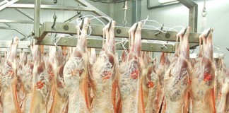 Subraya papel sector de alimentos y bebidas en la economía conquense matadero corderos