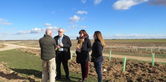 Importante avance en los trabajos de Vías Pecuarias de Manzanares