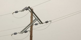 ONC celebra Gobierno regule adaptación líneas alta tensión para protección avifauna