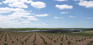 Indignación ante el inicio del deslinde del Guadiana en Daimiel