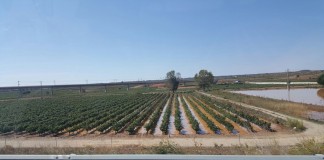 Aprobadas medidas urgentes para paliar daños causados por los últimos temporales