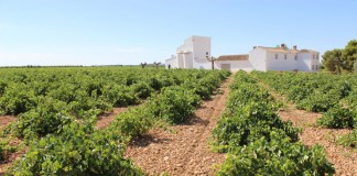 Verum, en Enofusión con Bodegas Singulares & Vinos de autor