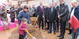 Proyecto de recuperación del olmo en Toledo, diezmado por grafiosis