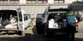 Detenidos cinco jóvenes de Ciudad Real por robar aceituna en Jaén