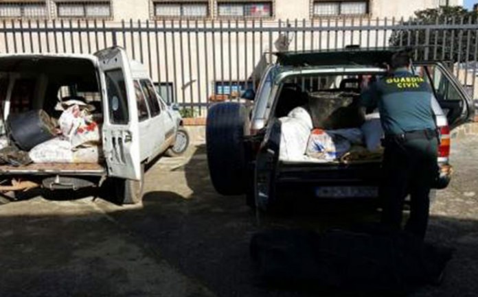 ACEITUNA-CUADRILLA-ROBO-696x449