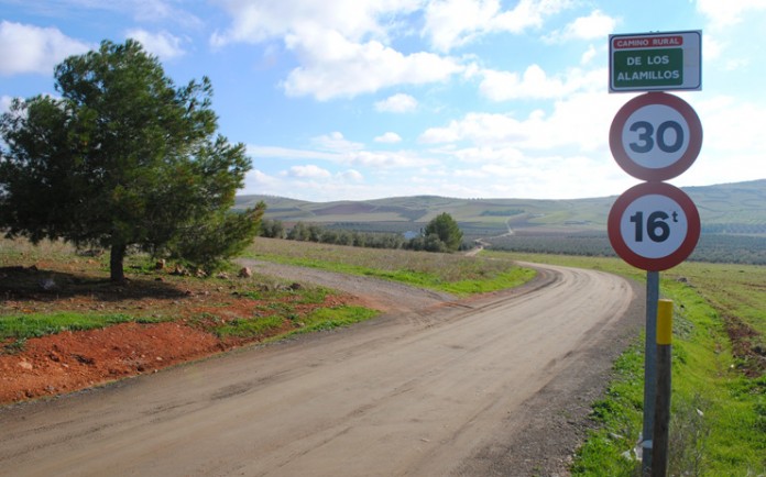 CAMINO ALAMILLOS (Valdepeñas)