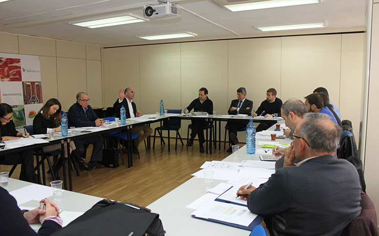 Consejo Aceite de Oliva