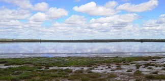 Global Nature celebra Día Mundial de Humedales en Castilla-La Mancha