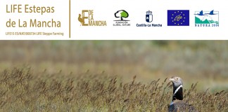 Comienza el proyecto LIFE “Estepas de La Mancha”