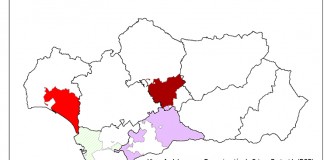 Los vinos andaluces participarán en FENAVIN agrupados en un mismo stand