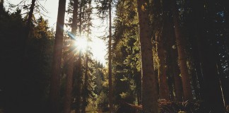 A petición de ASAJA, Cuenca tendrá la rotonda de “Los Agricultores”