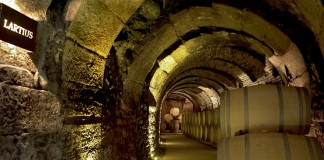 Arviza, una de las bodegas más antiguas España, en FENAVIN 2017
