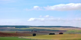 COAG defenderá en COP25 beneficios agricultura para mitigar efectos cambio climático