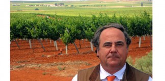 Fenavin 2017 acogerá el doble de bodegas ecológicas que anterior edición