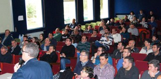 La cría de gallinas camperas como oportunidad laboral