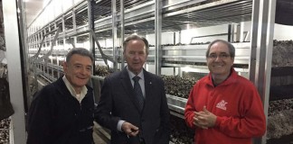 Globalcaja destaca labor del sector cooperativo en su visita a Mercajucar