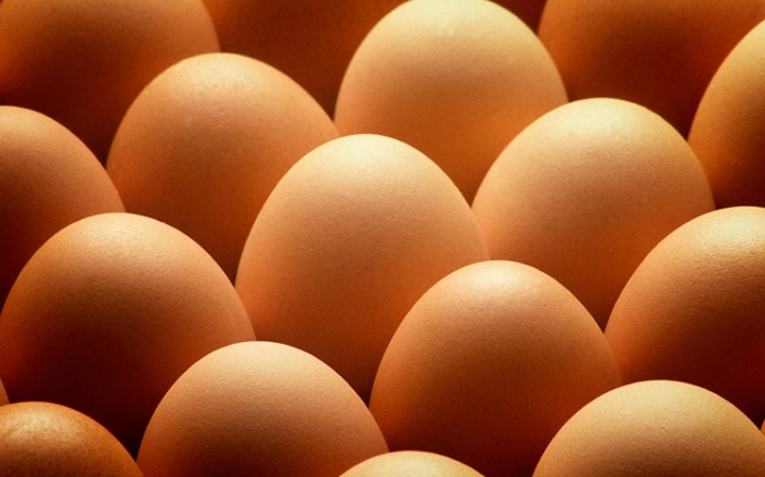 huevos